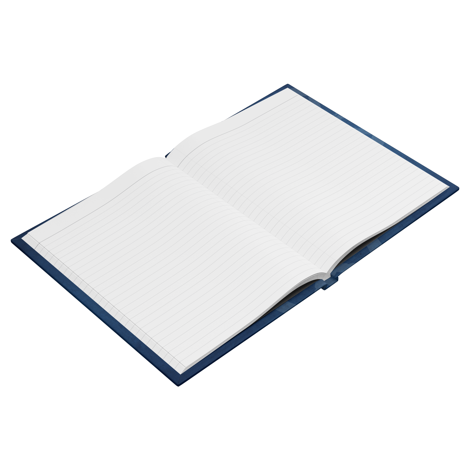 Denise_Weldner_Open_Pages_Angle_-_Lined_Mockup.png_15930350