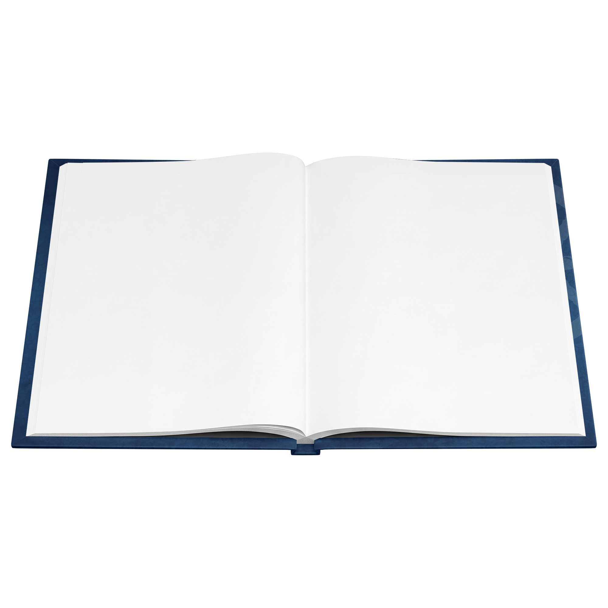 Denise_Weldner_Open_Pages_Flat_-_Blank_Mockup.png_15930348