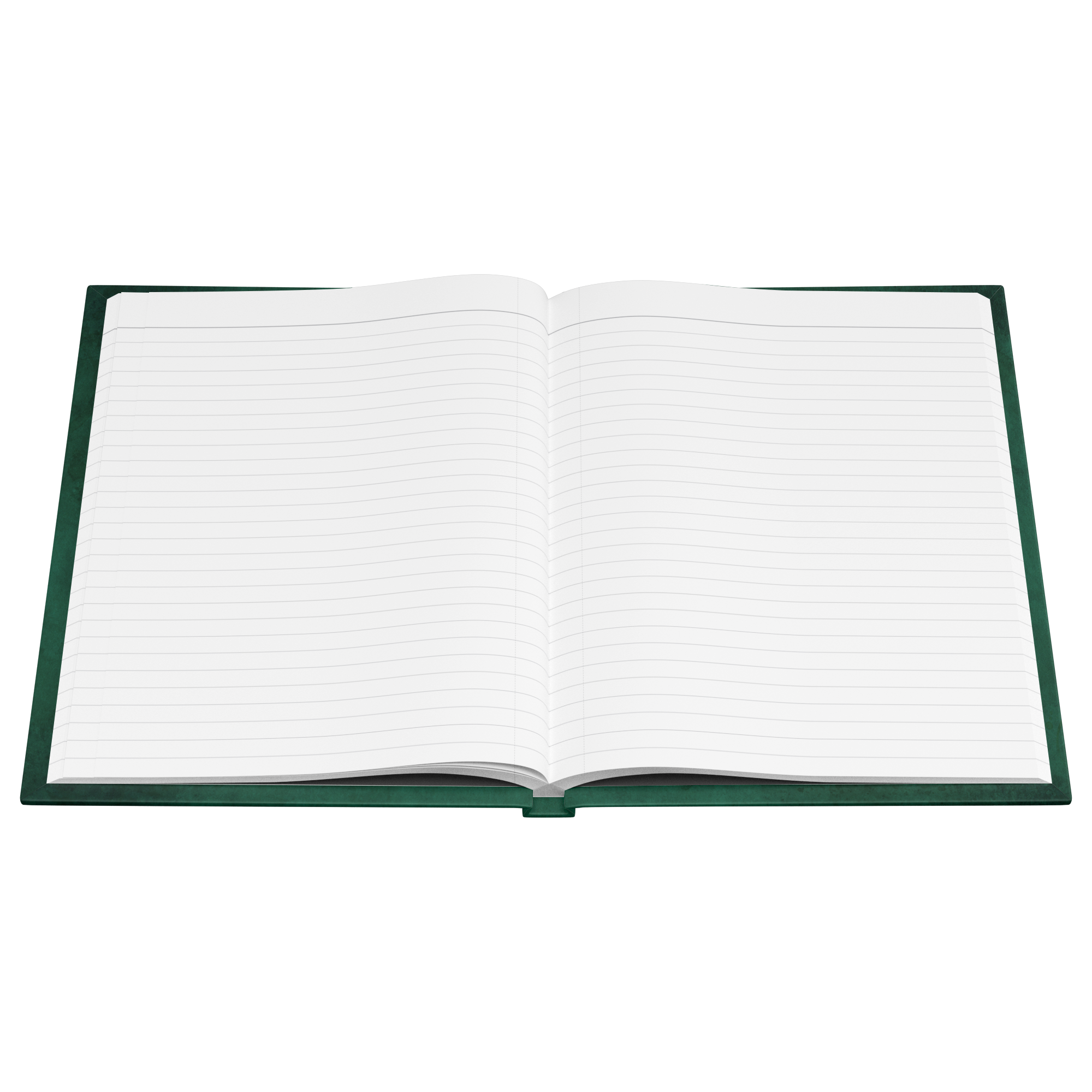 maddalena_tumminaro_green_Open_Pages_Flat_Mockup.png_15564608