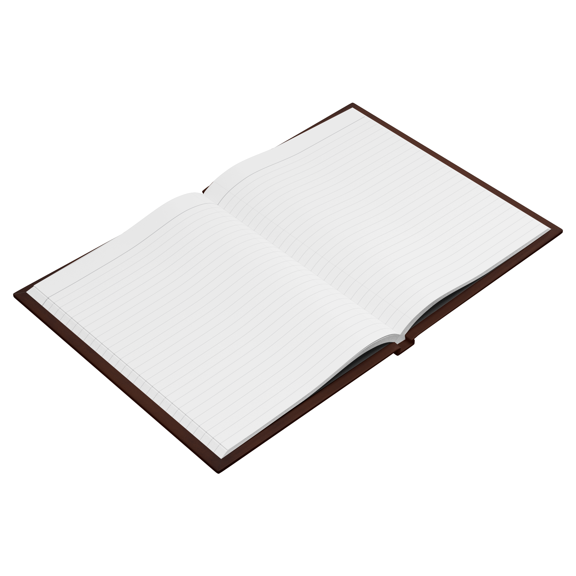 Amy_Sue_DeTar_Open_Pages_Angle_Mockup.png_15916675
