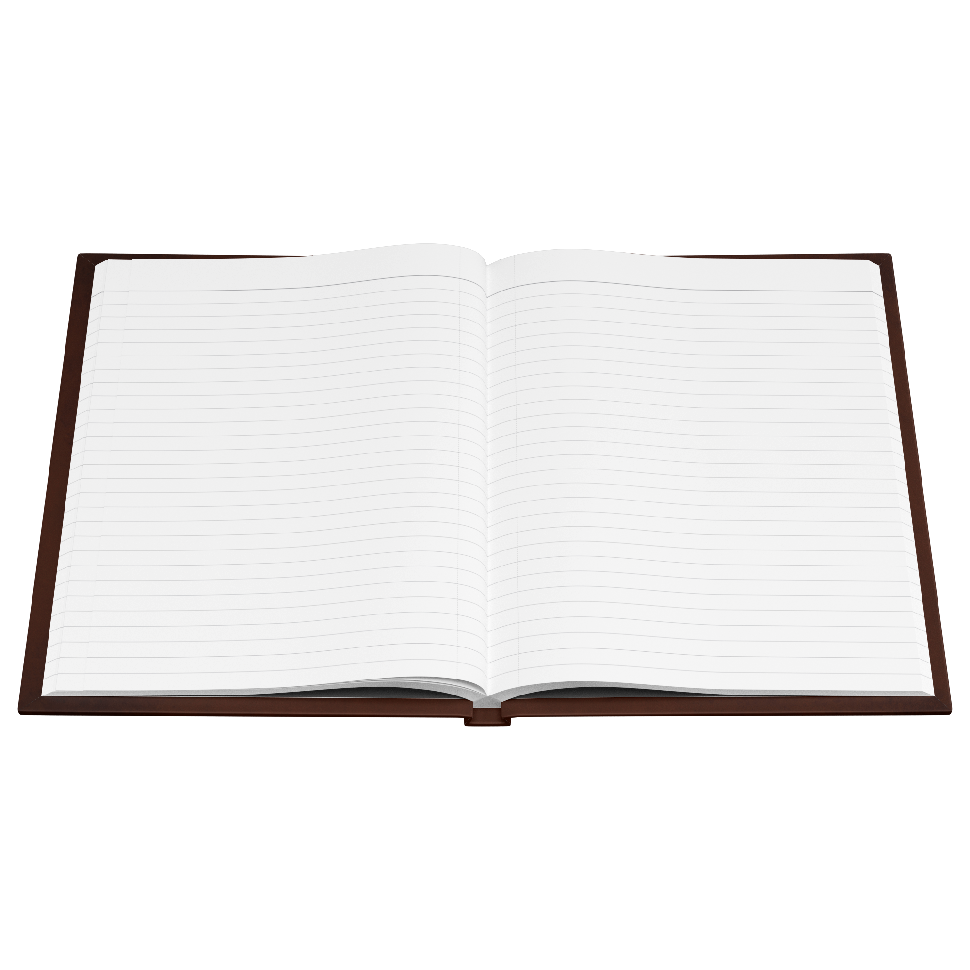 Amy_Sue_DeTar_Open_Pages_Flat_Mockup.png_15916676
