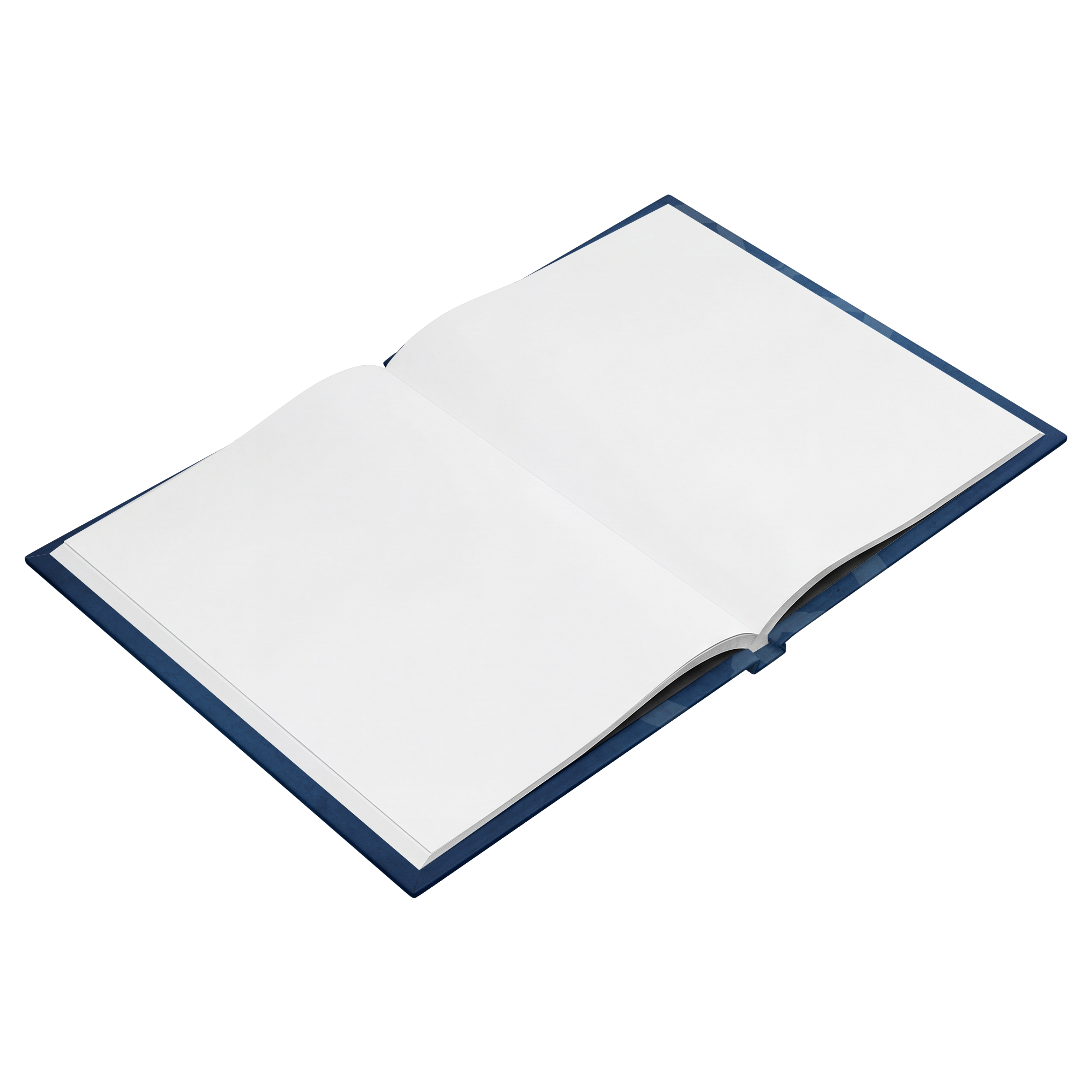 Denise_Weldner_Open_Pages_Angle_-_Blank_Mockup.png_15930347