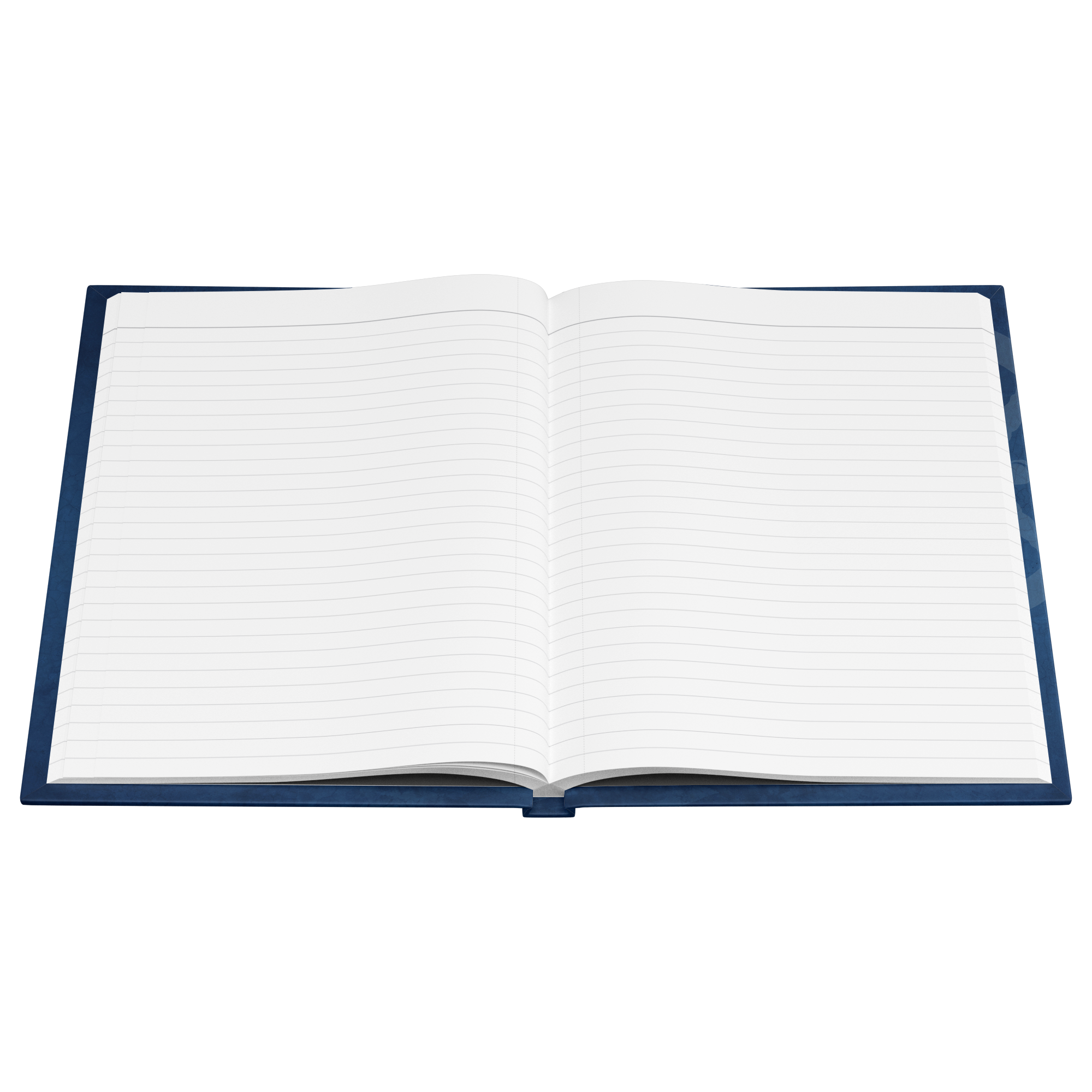Denise_Weldner_Open_Pages_Flat_-_Lined_Mockup.png_15930349