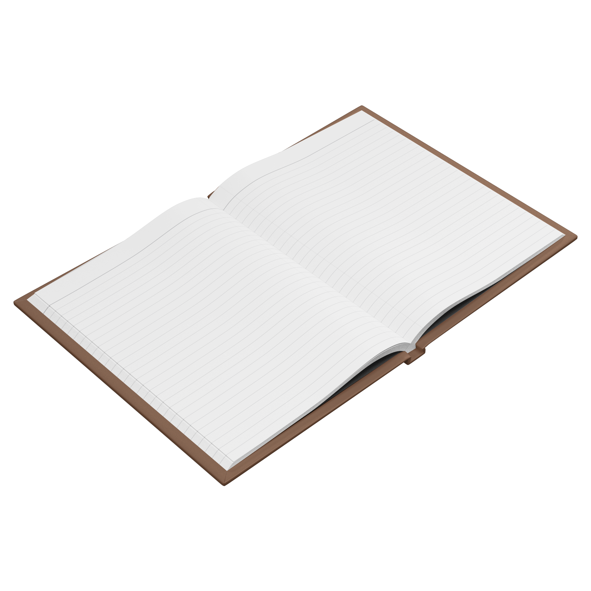 Rex_Selnes_Open_Pages_Angle_Mockup.png_15910590