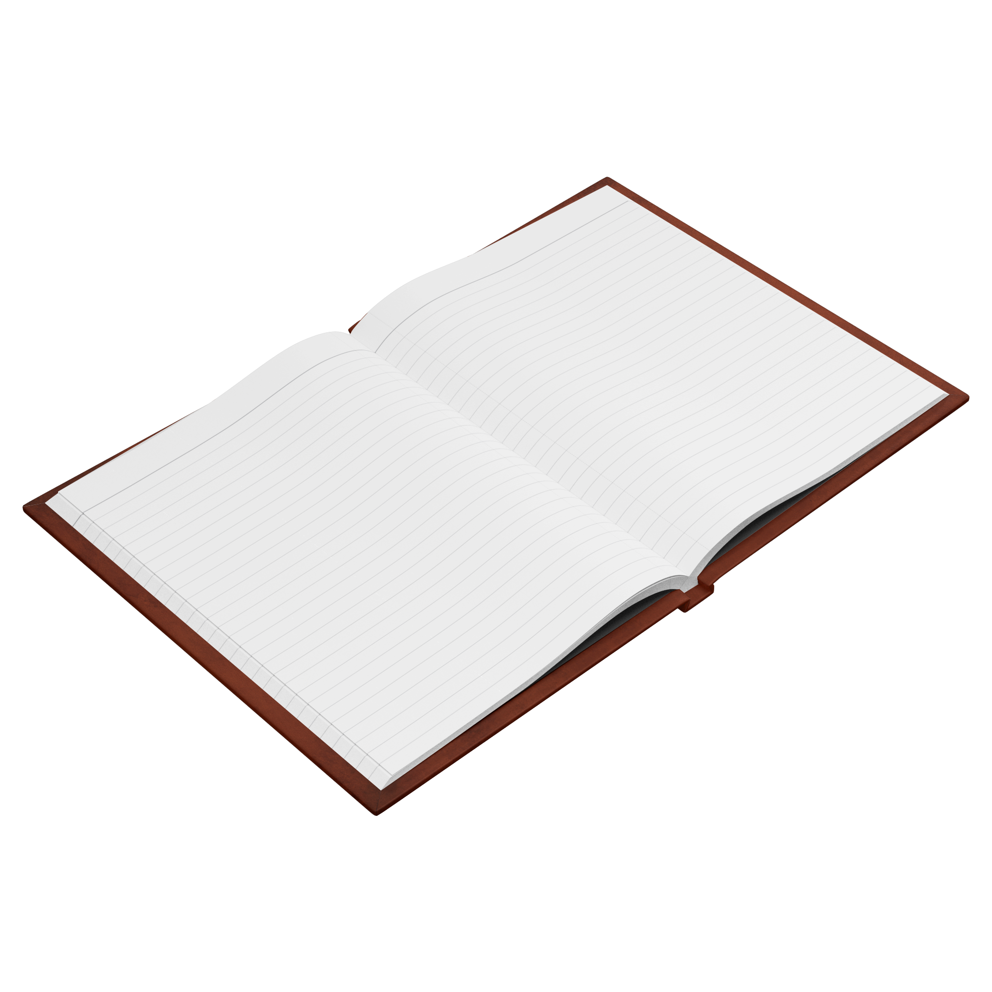 maddalena_tumminaro_bonfire_Open_Pages_Angle_Mockup.png_15564616