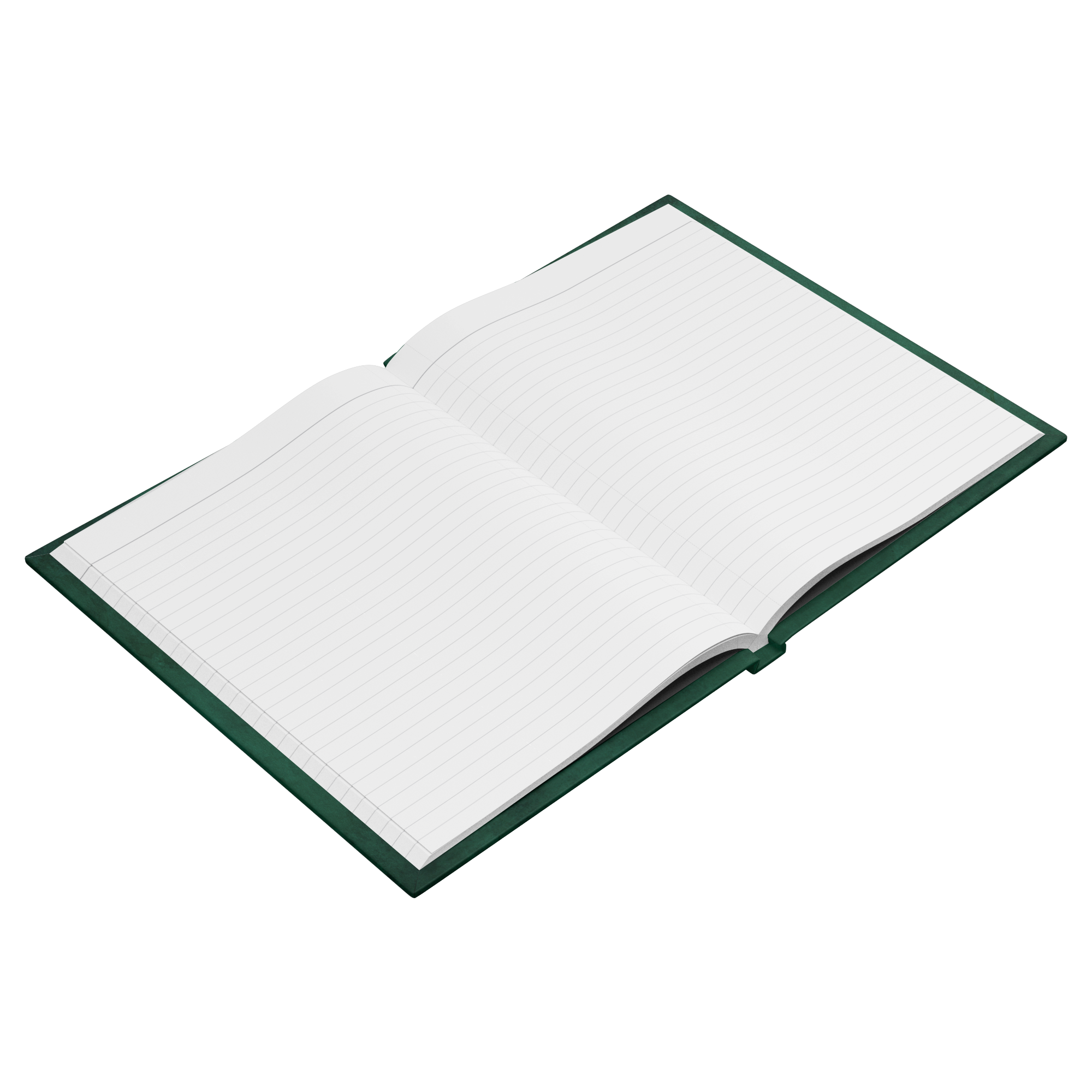 maddalena_tumminaro_green_Open_Pages_Angle_Mockup.png_15564607