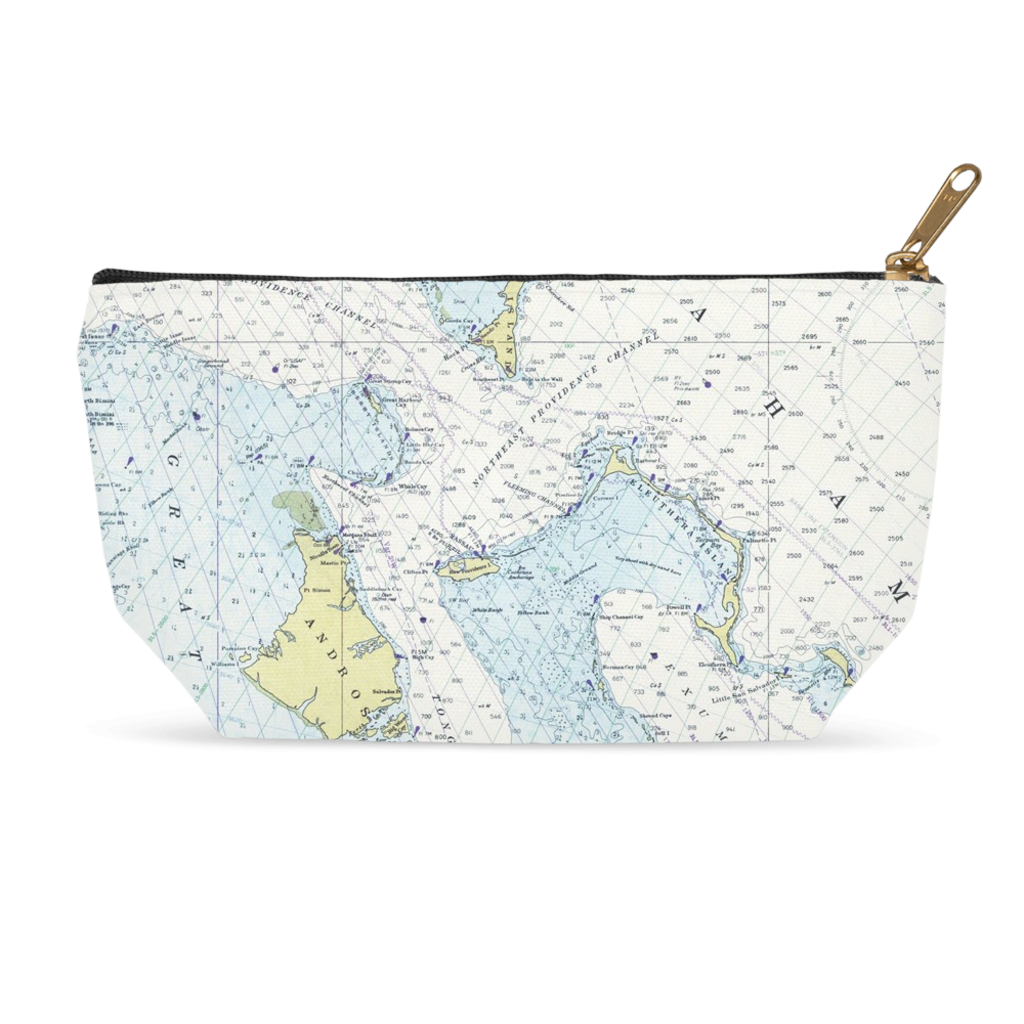 Maps of the World Accessory Pouch