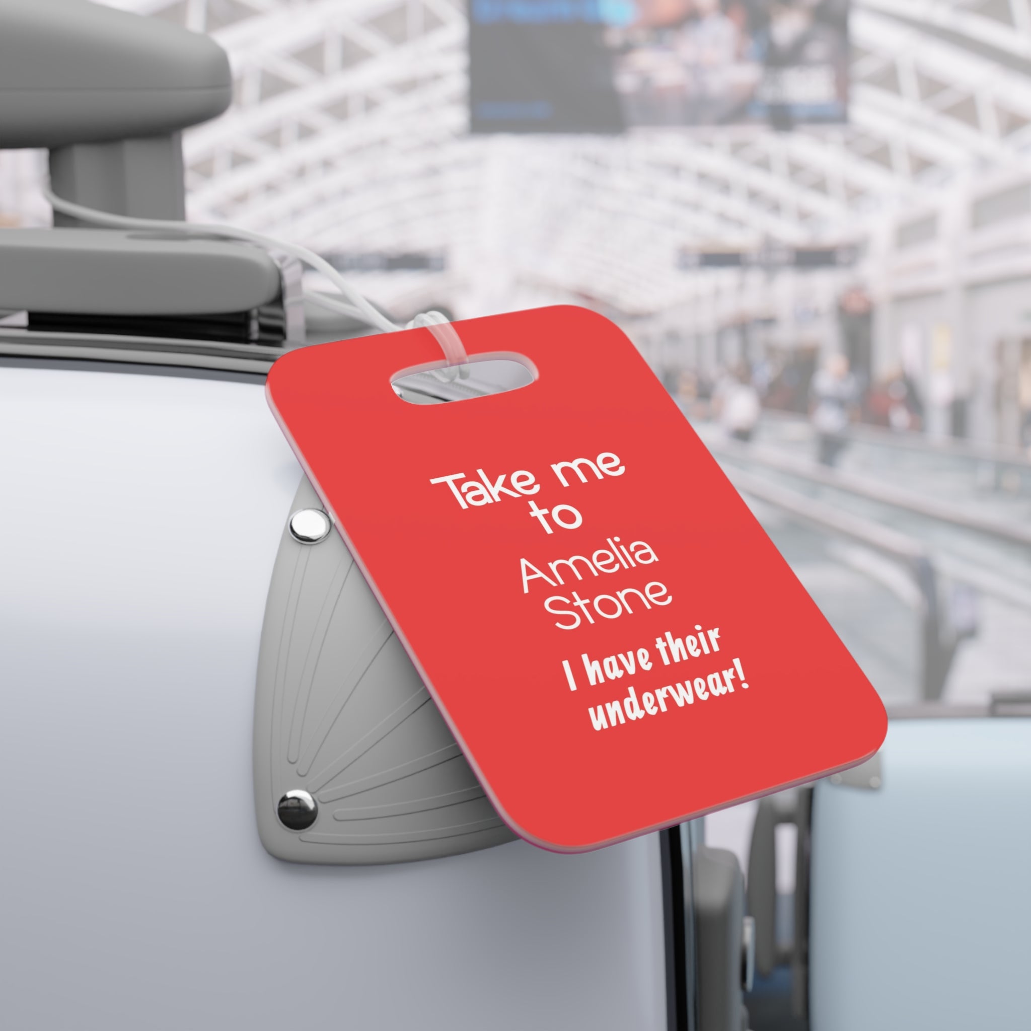 Personalized Funny Luggage Tag